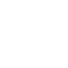 Community Action Partnership logo